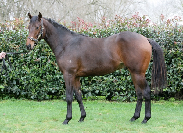 Bel Esprit Lot 37 1483web